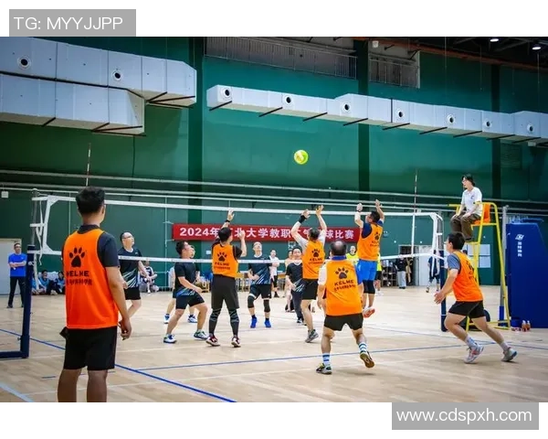 成都排球队排球意识排名创新高展现团队实力与战术智慧 成都排球队排球意识排名创新高展现团队实力与战术智慧