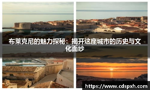 布莱克尼的魅力探秘：揭开这座城市的历史与文化面纱