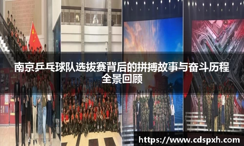 乐彩汇